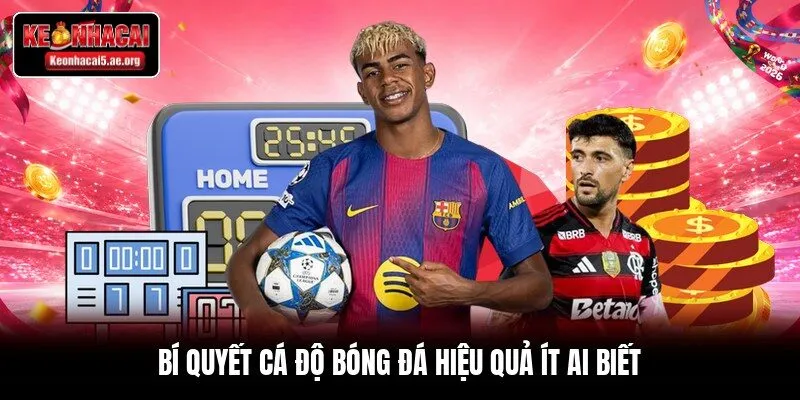 Bí quyết cá độ bóng đá hiệu quả ít ai biết